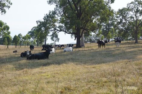 2484 Glendonbrook Rd, Summer Hill, NSW 2421