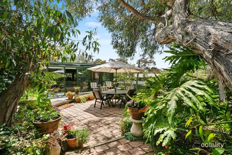 Property photo of 7 Birkdale Close Anglesea VIC 3230