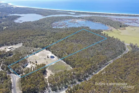 Property photo of 80 McManus Drive Falmouth TAS 7215