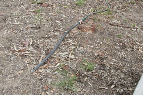 Property photo of 105 Lenihans Road Electra QLD 4670