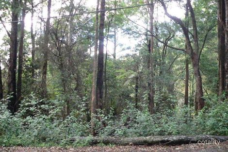 Property photo of 2203 Springbrook Road Springbrook QLD 4213