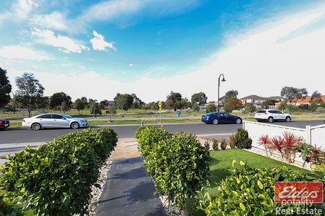 Property photo of 14 Harmony Drive Tarneit VIC 3029