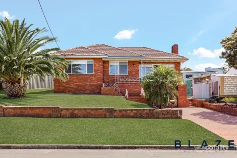 Property photo of 7 Finlay Avenue Mount Pritchard NSW 2170