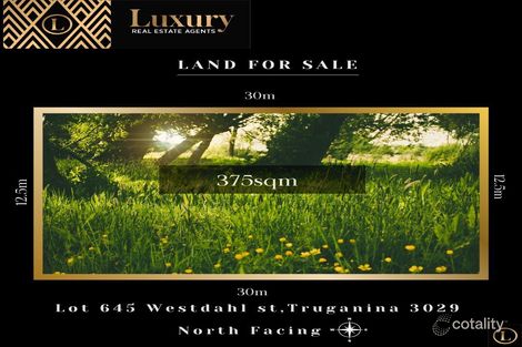 29 Westdahl St, Truganina, VIC 3029