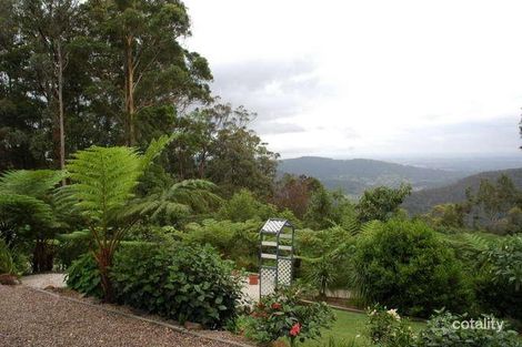 4 Taal Ct, Tamborine Mountain, QLD 4272