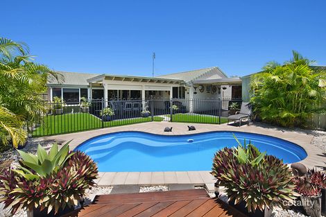 Property photo of 7 Kalmia Place Mountain Creek QLD 4557