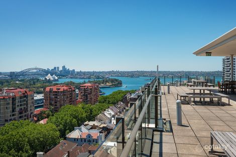 Property photo of 211/2 Springfield Avenue Potts Point NSW 2011