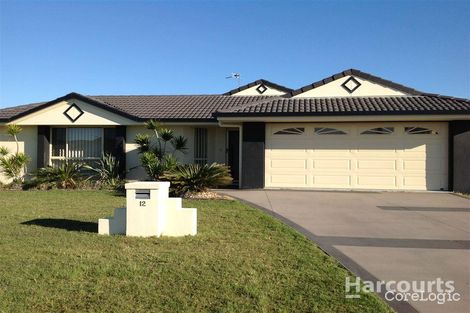 Property photo of 12 Protector Way Eli Waters QLD 4655