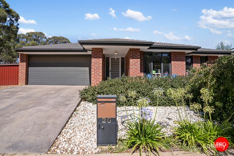 30 Galloway St, Ascot, VIC 3551