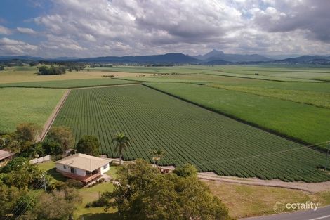 Property photo of 194 Clothiers Creek Road Nunderi NSW 2484