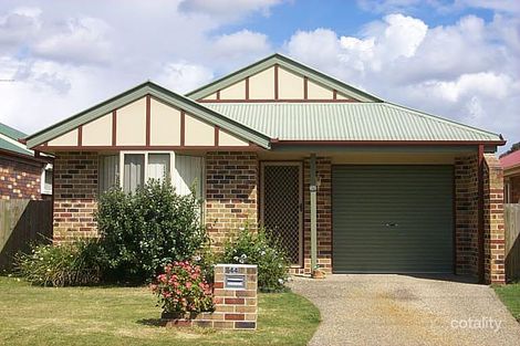 44 Wattle St, Cannon Hill, QLD 4170