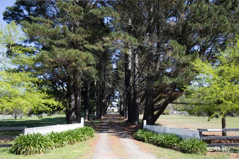 Property photo of 14 Devon Road Exeter NSW 2579