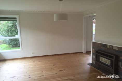 Property photo of 41 Craigie Road Newtown VIC 3220