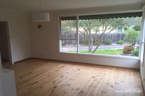 Property photo of 41 Craigie Road Newtown VIC 3220