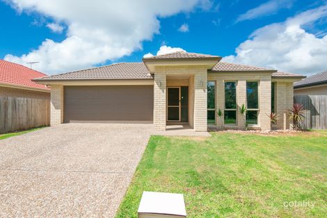 Property photo of 14 Butternut Circuit Thornlands QLD 4164
