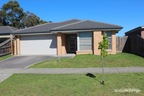 Property photo of 13 Mountain Grey Circuit Morwell VIC 3840