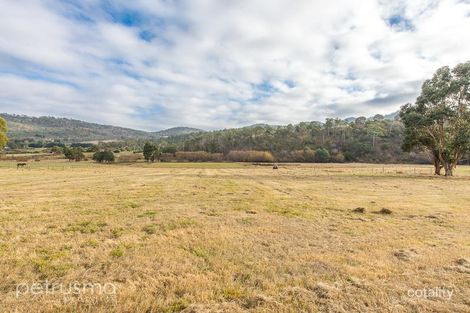 Property photo of 505 Back River Road Magra TAS 7140