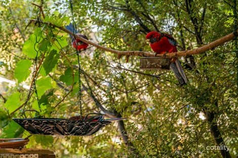 Property photo of 105 Carlile Street Evatt ACT 2617