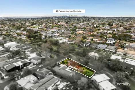 Property photo of 21 Pascoe Avenue Bentleigh VIC 3204
