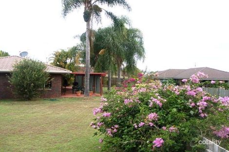 Property photo of 6 Lyn Court Bli Bli QLD 4560