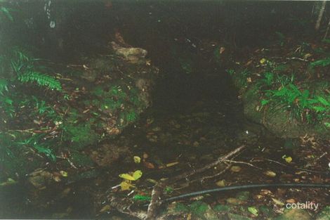 1966 Mount Spec Rd, Paluma, QLD 4816