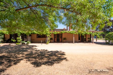 Property photo of 31 South Road Yarrawonga VIC 3730