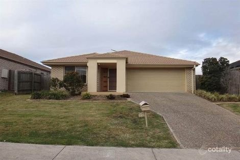 Property photo of 13 Pencarrow Crescent Raceview QLD 4305