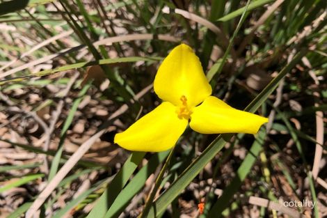 Property photo of 21 Eugene Place Karragullen WA 6111