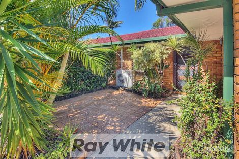 Property photo of 3/11 Cleopatra Street Kingston QLD 4114