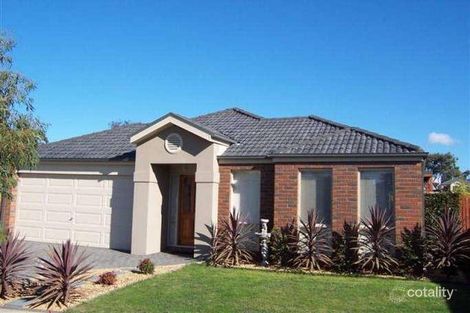 Property photo of 13 Black Falcon Street South Morang VIC 3752