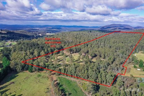 53 New Country Marsh Rd, Levendale, TAS 7120