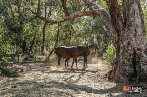 Property photo of 72 Emerald Drive Carabooda WA 6033
