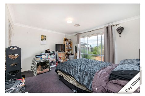 Property photo of 46 Donald Horne Circuit Franklin ACT 2913