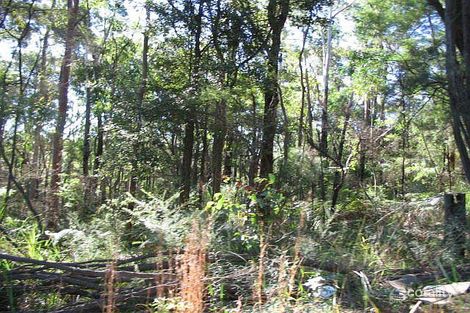 298 Maidens Brush Rd, Mount Elliot, NSW 2250