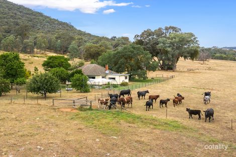 50 Old Tolmie Rd, Tatong, VIC 3673