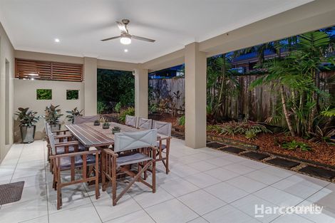 Property photo of 7 Grange Avenue Carseldine QLD 4034