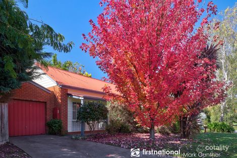 1/9 Mcgrettons Rd, Healesville, VIC 3777