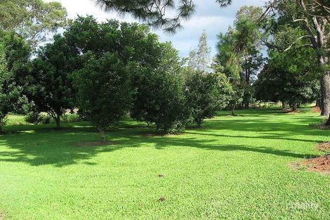 Property photo of 97 Clothiers Creek Road Nunderi NSW 2484