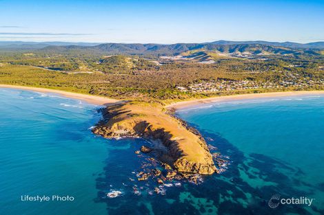 Property photo of 3 Chestnut Avenue Sandy Beach NSW 2456