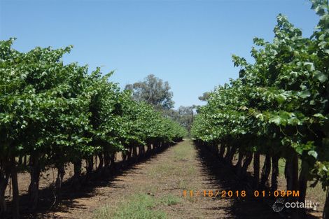 36 Eckerts Rd, Winkie, SA 5343