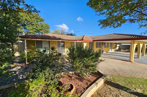Property photo of 14B Drysdale Road Craigie WA 6025