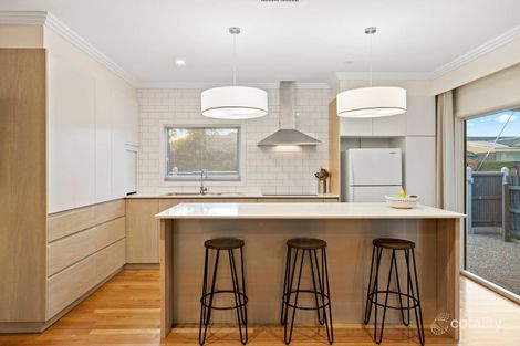 Property photo of 31 Paloma Street Bentleigh East VIC 3165