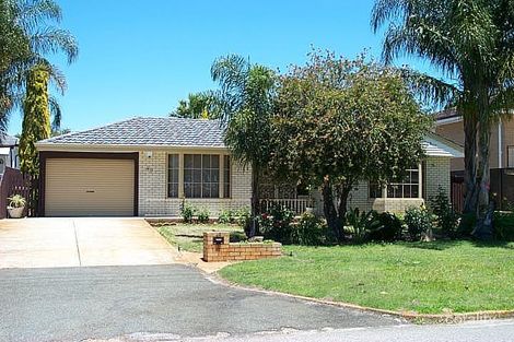 49 Farmfield Way, Morley, WA 6062