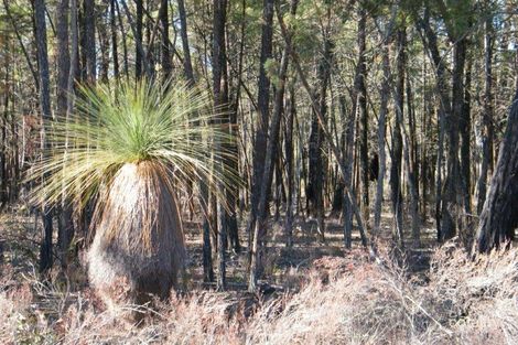 8000 Premer Rd, Premer, NSW 2381