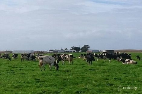 378 Neechy Flat Rd, Kongorong, SA 5291