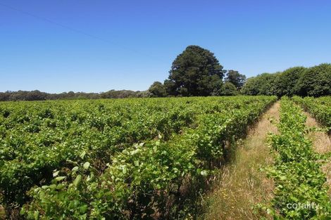 10 Bourchier Lane, Whitlands, VIC 3678