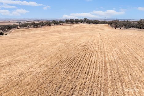 Lot 90 Tarlee Rd, Kapunda, SA 5373