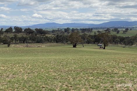 562 Bloom Hill Rd, O'Connell, NSW 2795