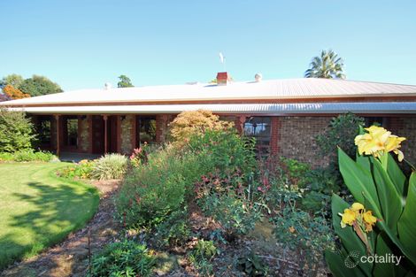 Property photo of 136 Pyap Street Renmark SA 5341