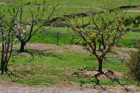 Property photo of 95 East Gilmore Road Gilmore NSW 2720